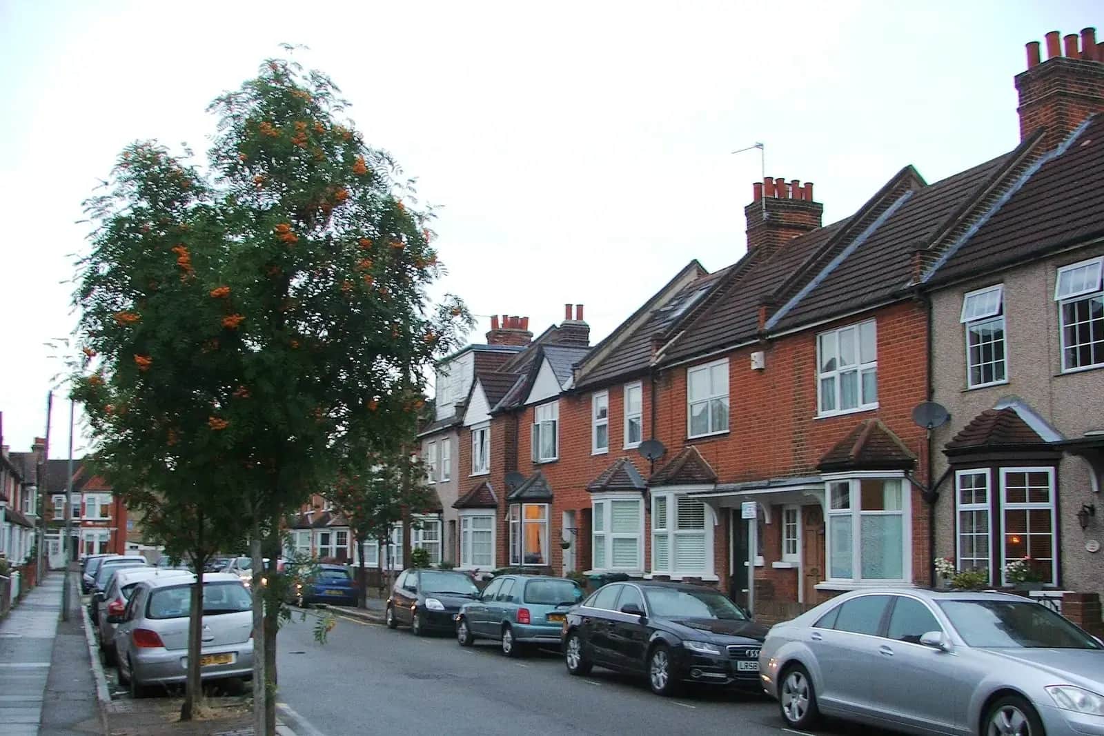 Terrace of red-brick Edwardian houses on Morgan Road in Bromley with white bay windows and a tree in the pavement, cars parked along the kerb