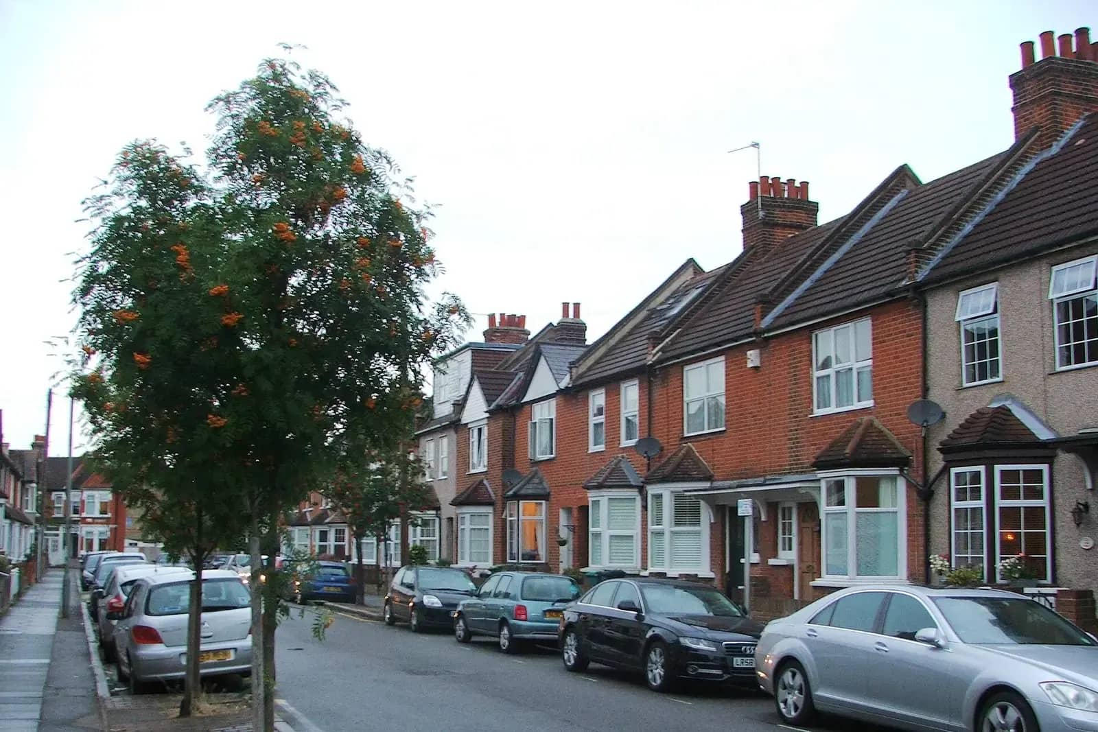 Terrace of red-brick Edwardian houses on Morgan Road in Bromley with white bay windows and a tree in the pavement, cars parked along the kerb