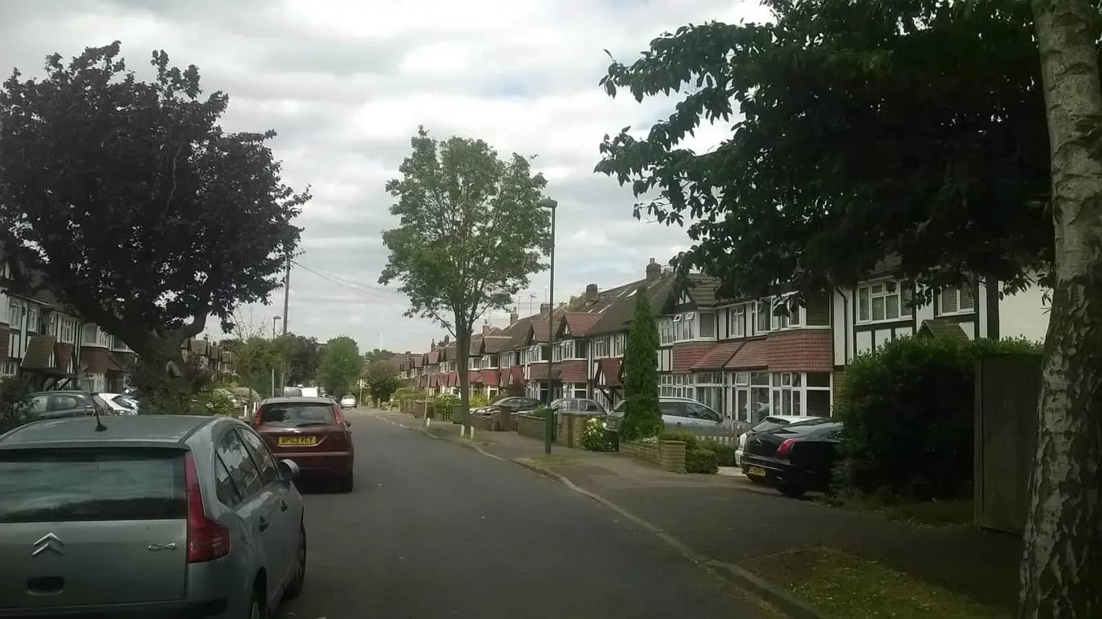 The Causeway in Carshalton, a tree-lined road of interwar houses with mock-Tudor gables